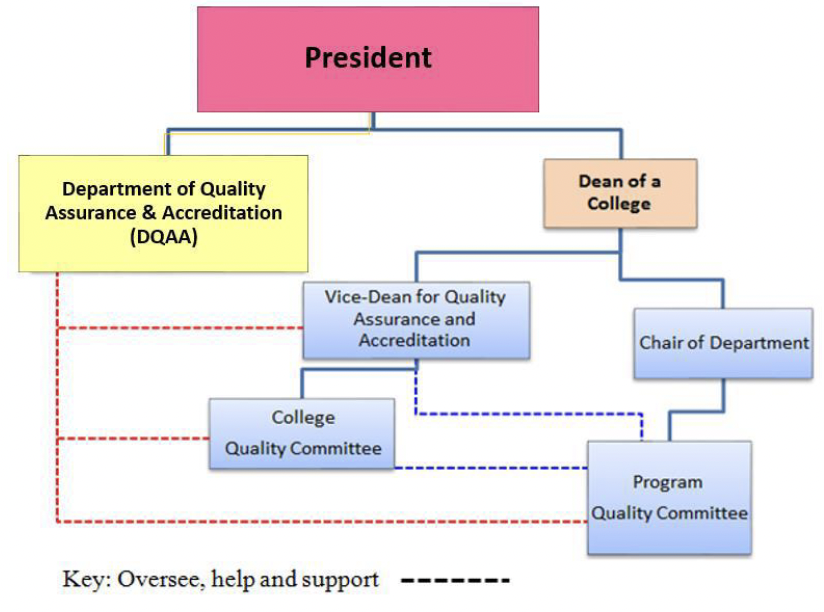 Quality assurance structure showing reporting and oversight relationships among institutional, college, and program quality committees.